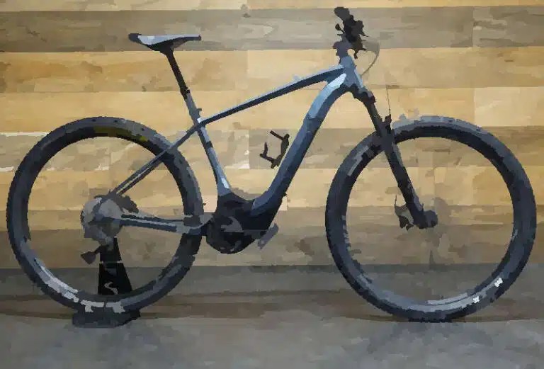 Specialized Turbo Levo Hardtrail recensione e caratteristiche