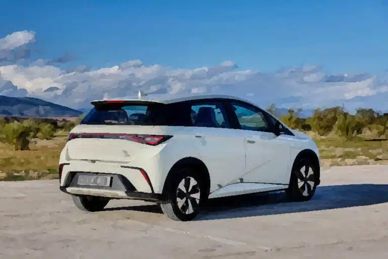BYD Dolphin caratteristiche