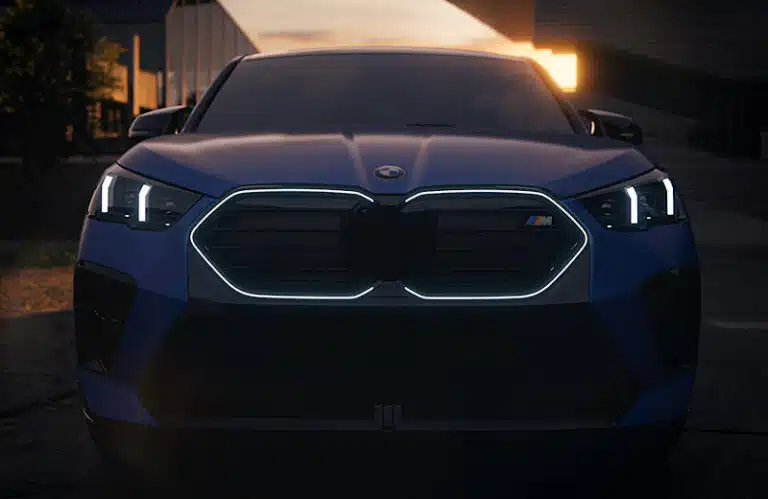 Iconic Glow BMW coppia di reni luminosa